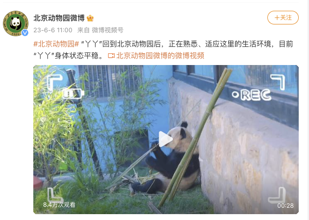 北京动物园：大熊猫“丫丫”目前身体状态平稳